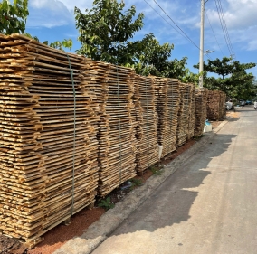 Phôi gỗ tràm 